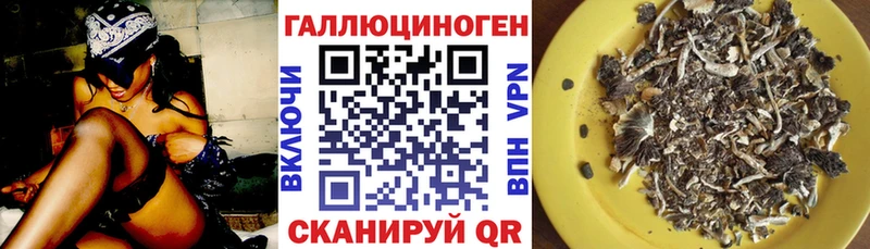 Купить где  Прокопьевск  Псилоцибиновые грибы Cubensis 